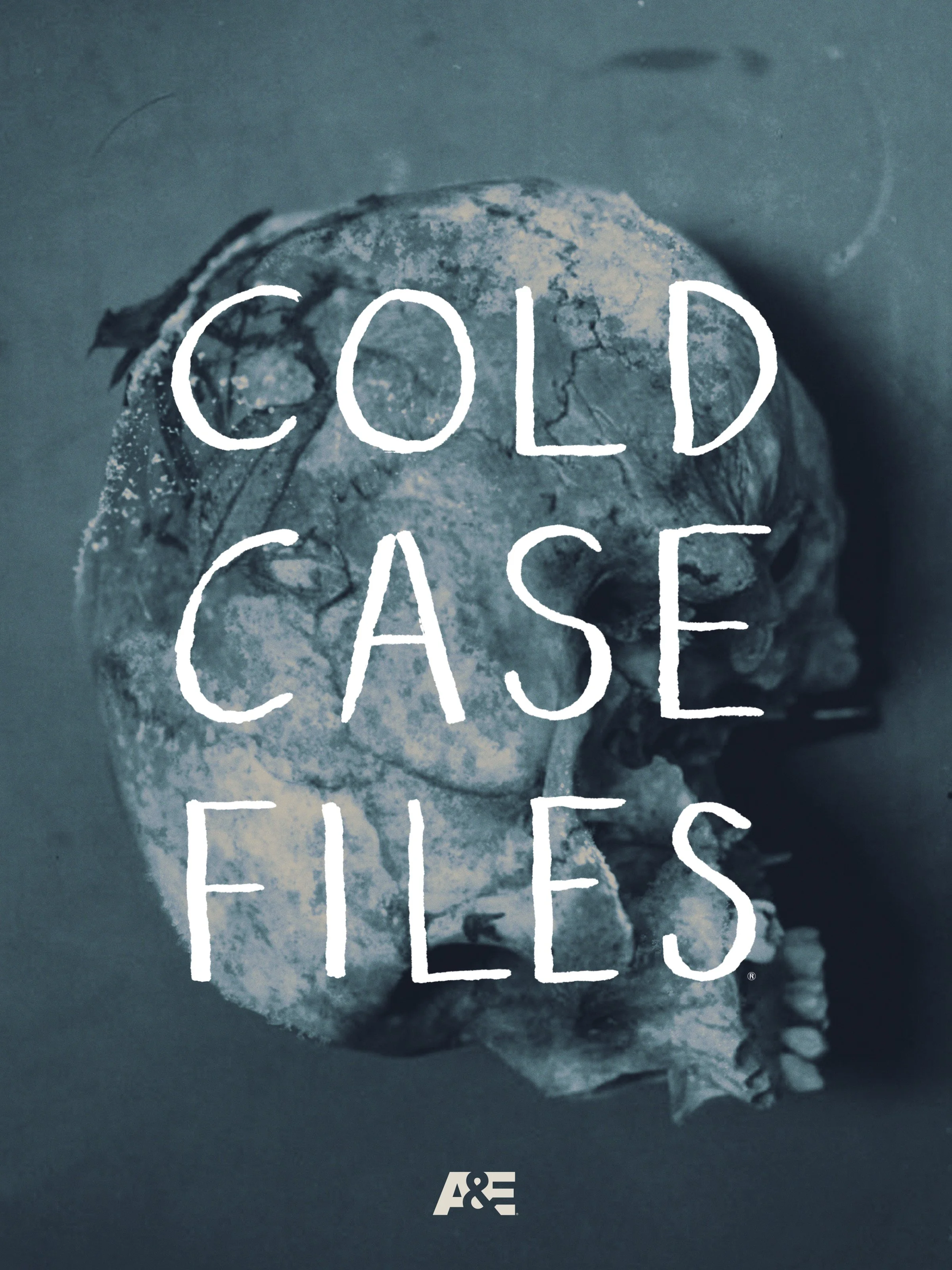 Cold Case Files poster